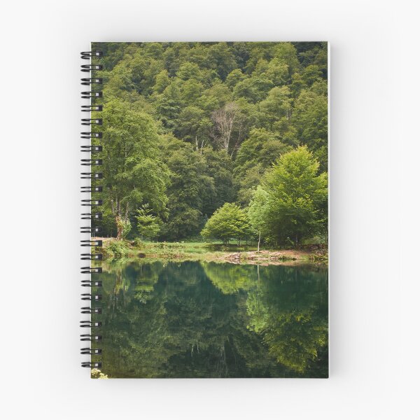Item preview, reflection of two trees in a lake designed and sold by MeBphotography.