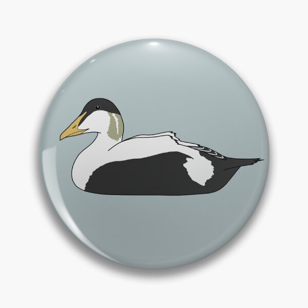 Item preview, Common Eider Duck (Male) designed and sold by taylorrowan.