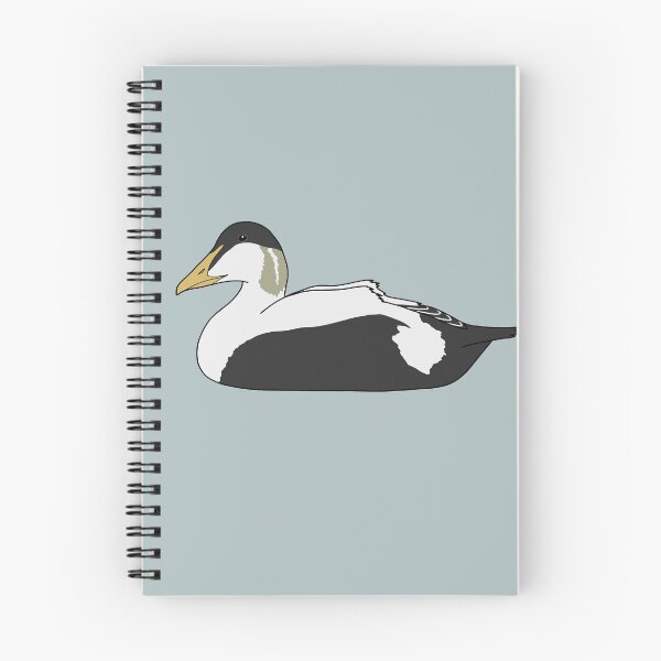 Item preview, Common Eider Duck (Male) designed and sold by taylorrowan.
