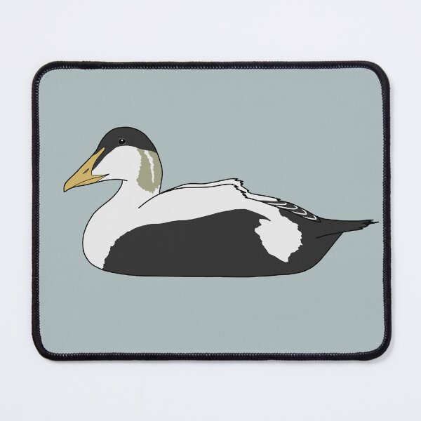 Item preview, Common Eider Duck (Male) designed and sold by taylorrowan.