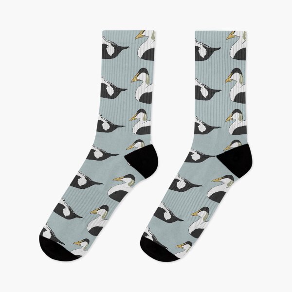 Item preview, Common Eider Duck (Male) designed and sold by taylorrowan.