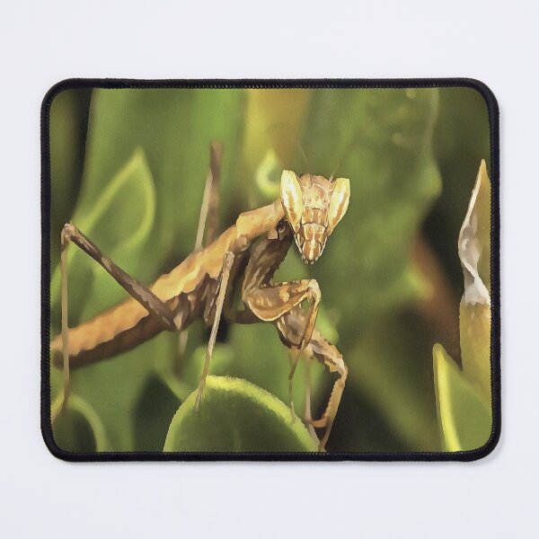 Item preview, Praying Mantis Portrait Insect Art  designed and sold by taiche.