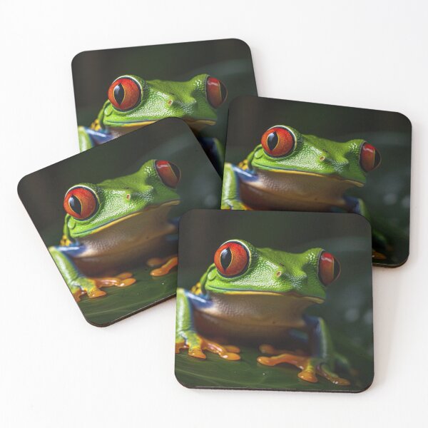 Item preview, Red eyed tree frog designed and sold by pietrofoto.