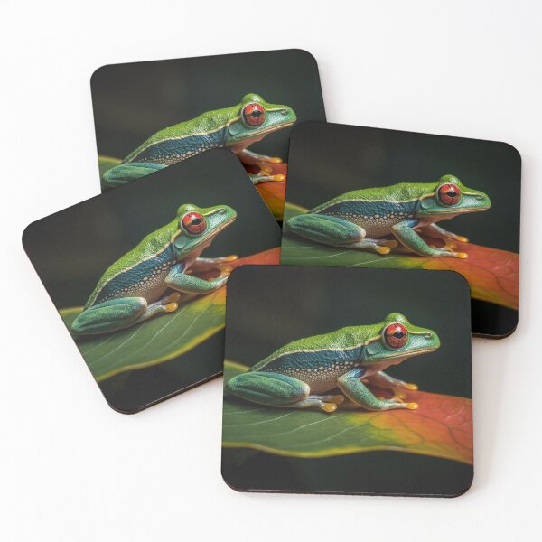 Item preview, Red eyed tree frog designed and sold by pietrofoto.