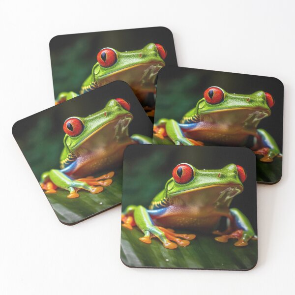 Item preview, Red eyed tree frog designed and sold by pietrofoto.