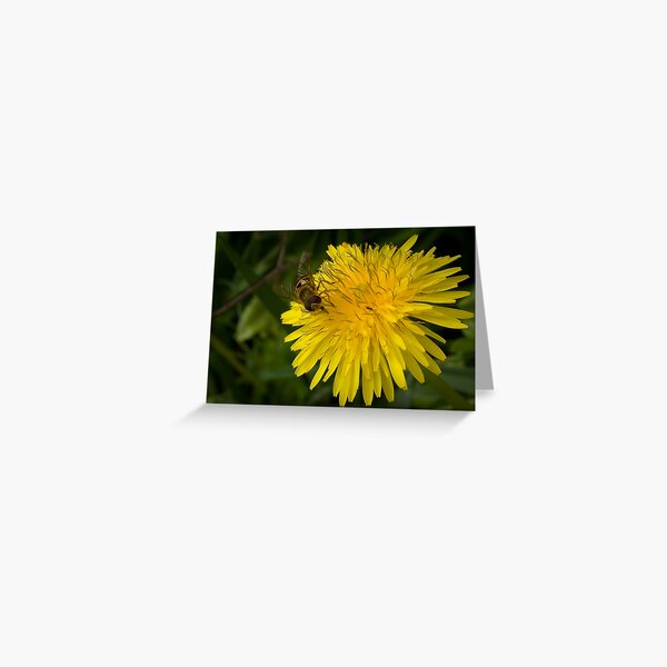 Golden nectar meal Greeting Card