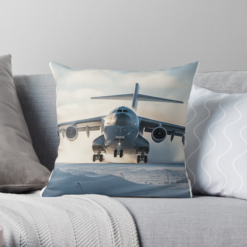 Airplane 2024 throw pillow