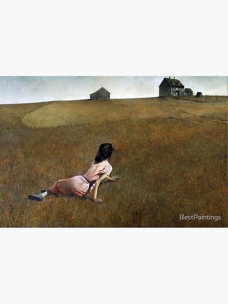 Christina's World - Andrew Wyeth by BestPaintings