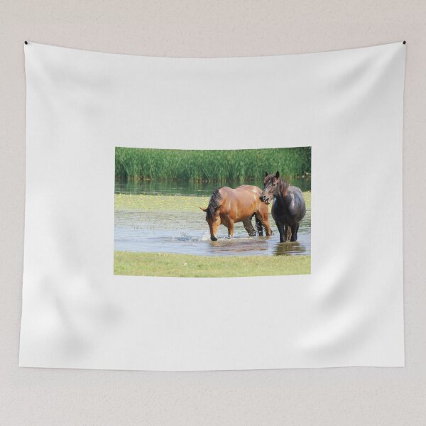 Item preview, Black and brown horse in water nature scene designed and sold by goceris.
