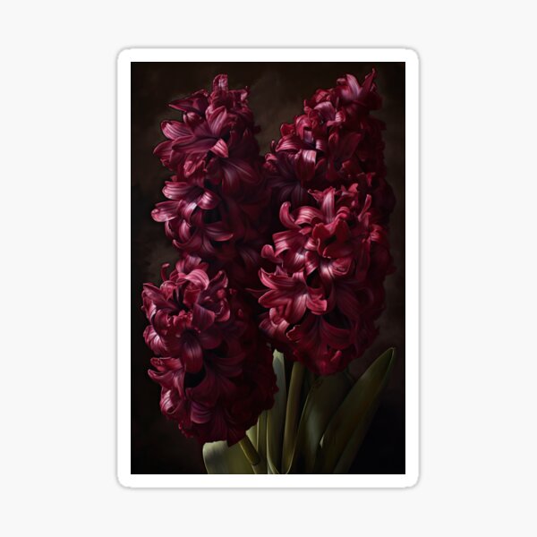 Aperçu de l'œuvre Burgundy Hyacinth  créée et vendue par Vanover Designs.