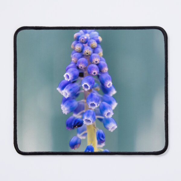 Item preview, Muscari designed and sold by JEZ22.