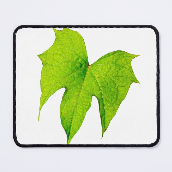 Item preview, Green Leaf designed and sold by Dalyndigital Photography.
