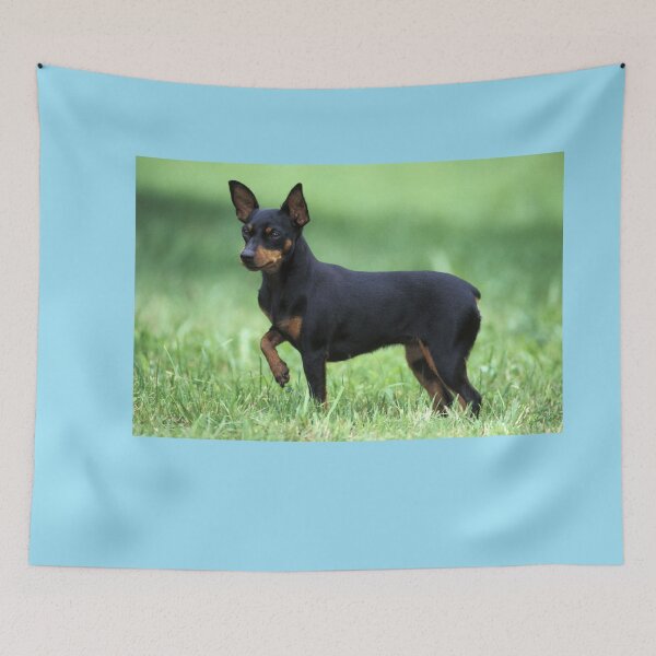 Item preview, Minpin or Miniature Pinscher Dog designed and sold by ScienceSource.