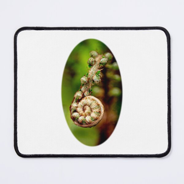 Item preview, Unfurling Fern designed and sold by Dalyndigital Photography.