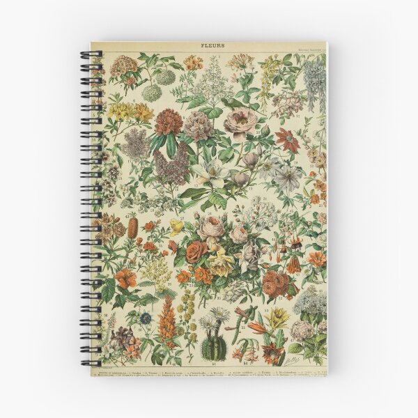 Item preview, Flowers (1897-1904) - Nouveau Larousse illustré designed and sold by SALON DES ARTS.