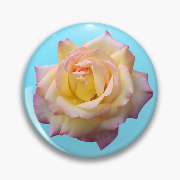 Item preview, Pink Yellow Ombre Pastel Rose Flower designed and sold by Deborah Camp.