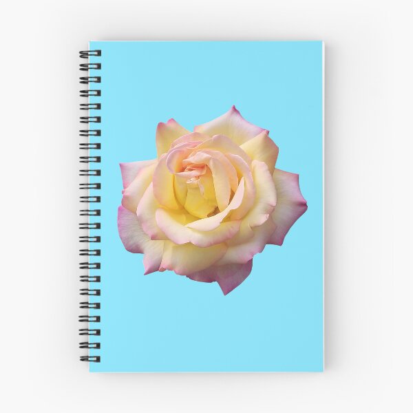 Item preview, Pink Yellow Ombre Pastel Rose Flower designed and sold by Deborah Camp.