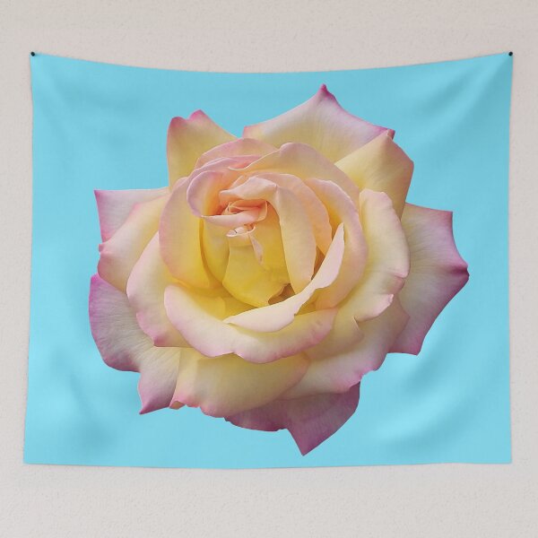 Item preview, Pink Yellow Ombre Pastel Rose Flower designed and sold by Deborah Camp.
