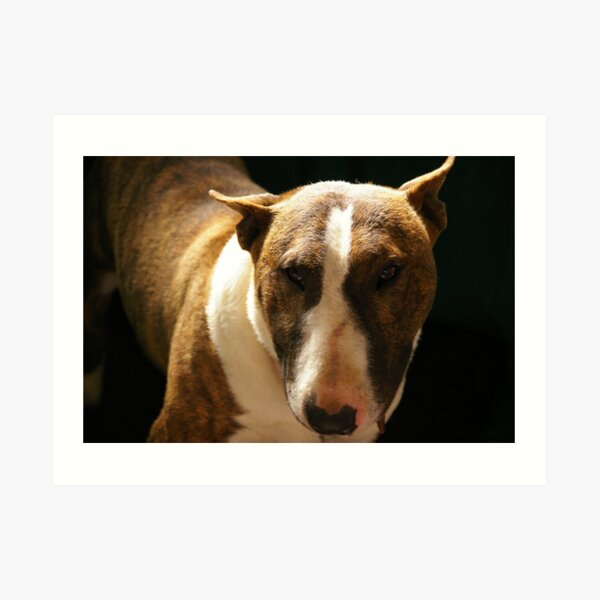 Are you looking at me? Art Print