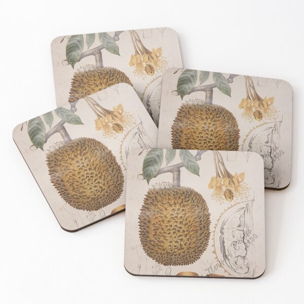 Item preview, durian fruit vintage botanical illustration designed and sold by EmeraldeaArt.