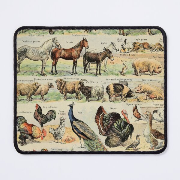 Item preview, Pets (1907-1910) - Le Larousse pour tous designed and sold by SALON DES ARTS.