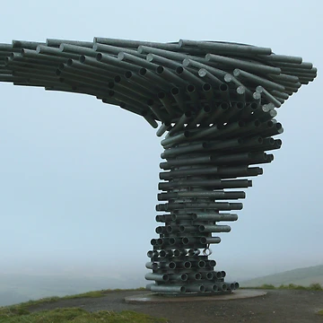 Artwork thumbnail, Singing Ringing Tree by Nala