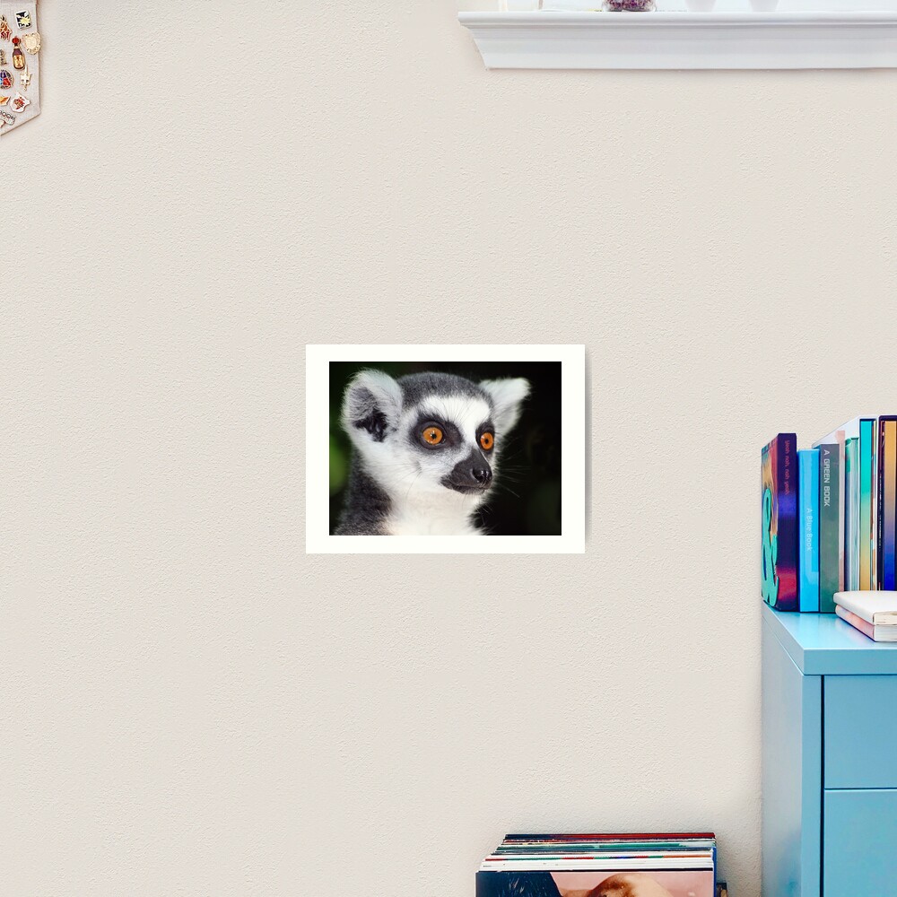 Ring-tailed Lemur Portrait 2 Art Print