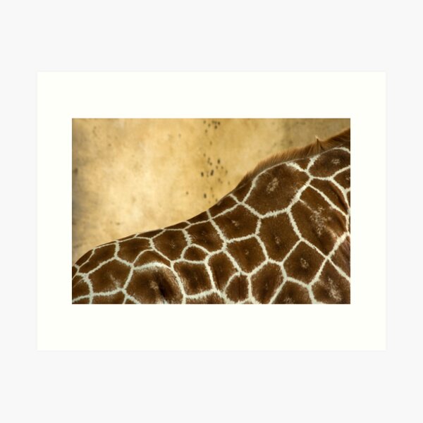 Giraffe Abstract Art Print