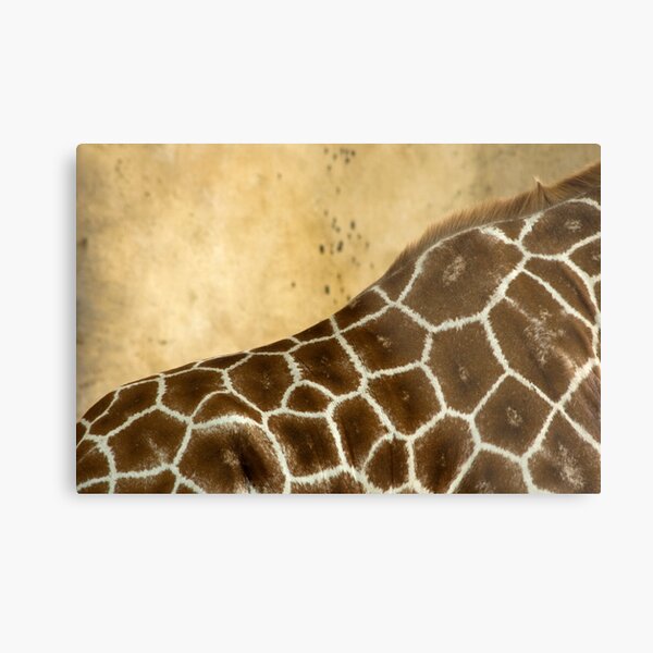 Giraffe Abstract Metal Print