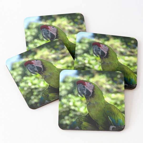 Item preview, Green Parrot  designed and sold by barkeypf.