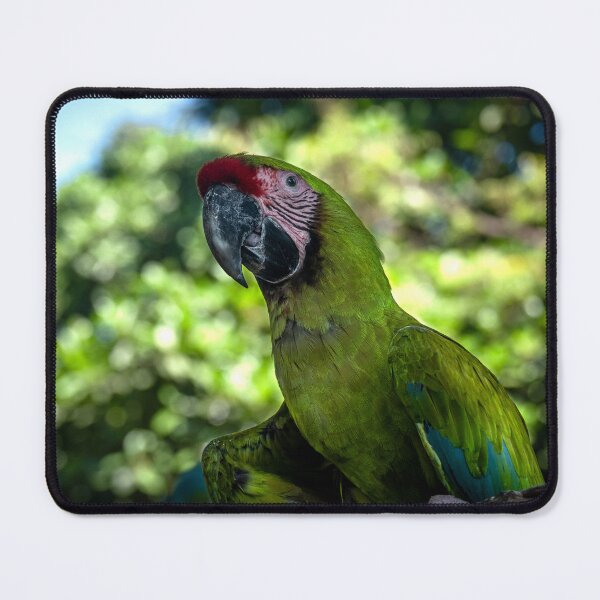 Item preview, Green Parrot designed and sold by barkeypf.