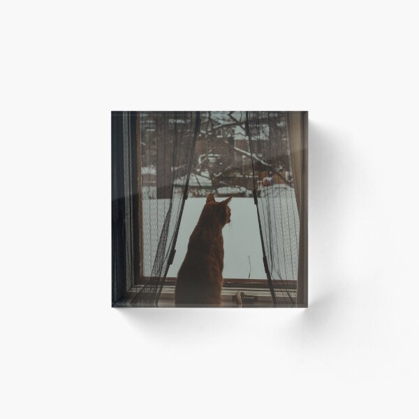 Cat Zen Acrylic Block