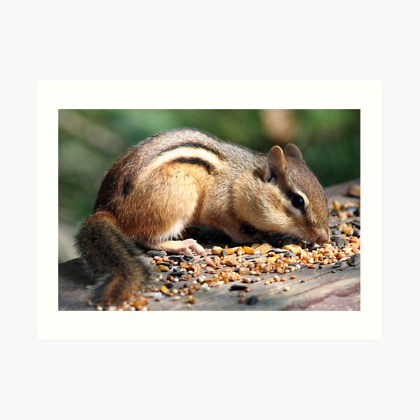 Chippy Snack Art Print