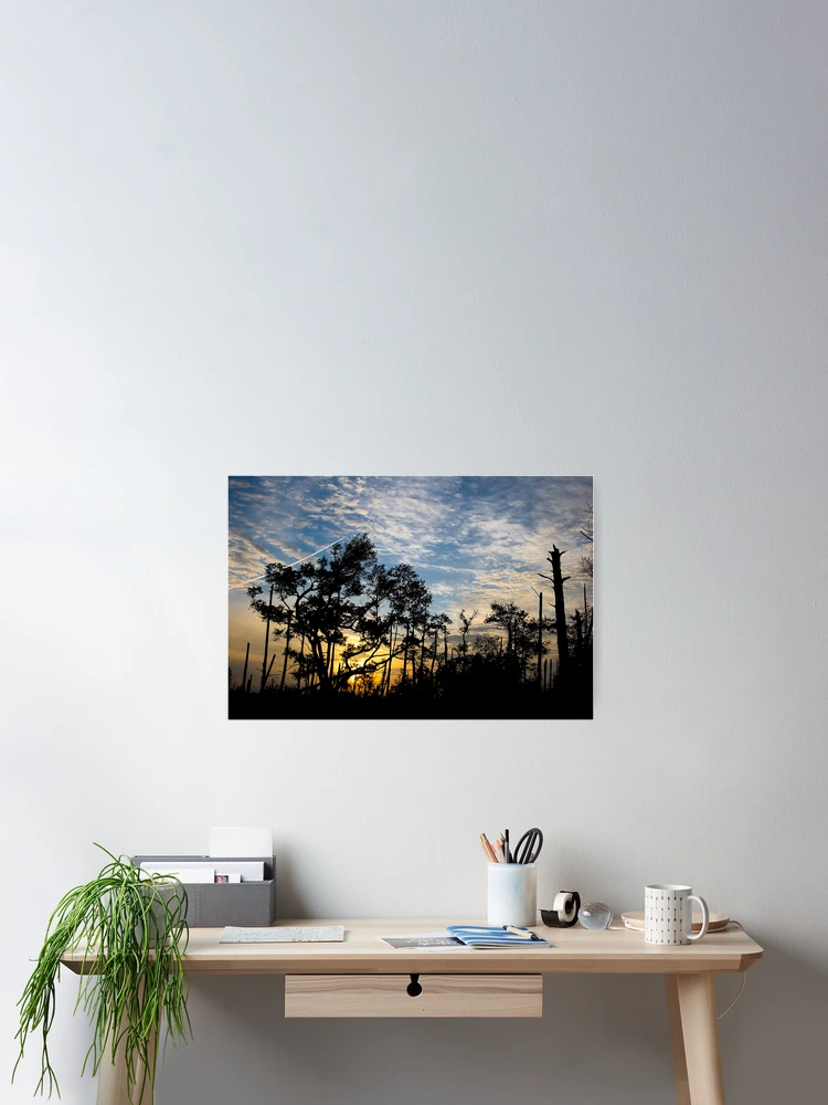 Thumbnail 2 of 3, Poster, Tree Setting designed and sold by Jonicool.