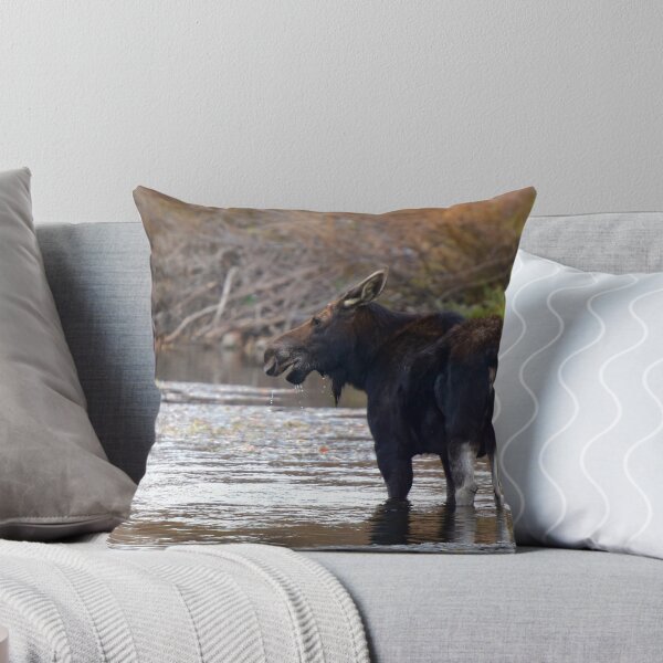 Item preview, Moose in River designed and sold by Leon Heyns.