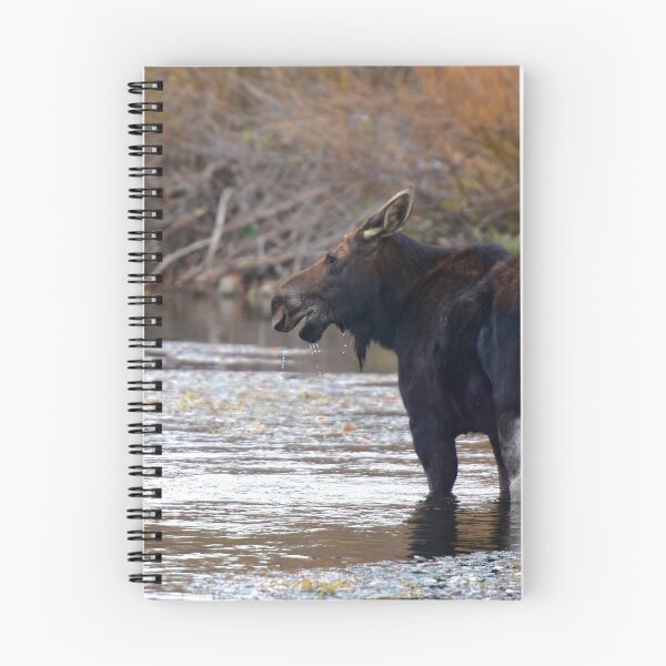Item preview, Moose in River designed and sold by Leon Heyns.