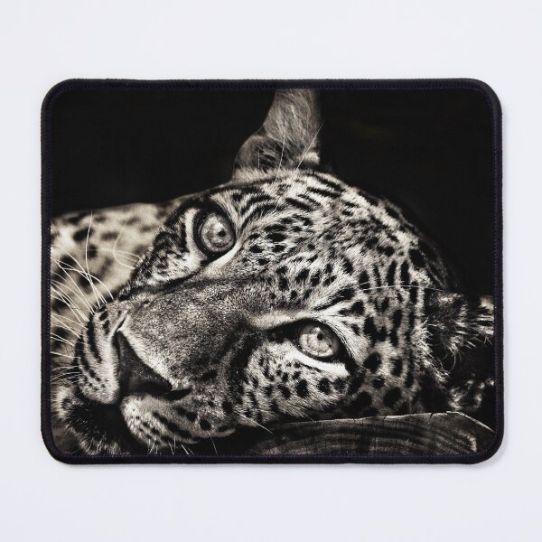 Item preview, The sleeping mighty - Leopard designed and sold by Audrey Krüger.
