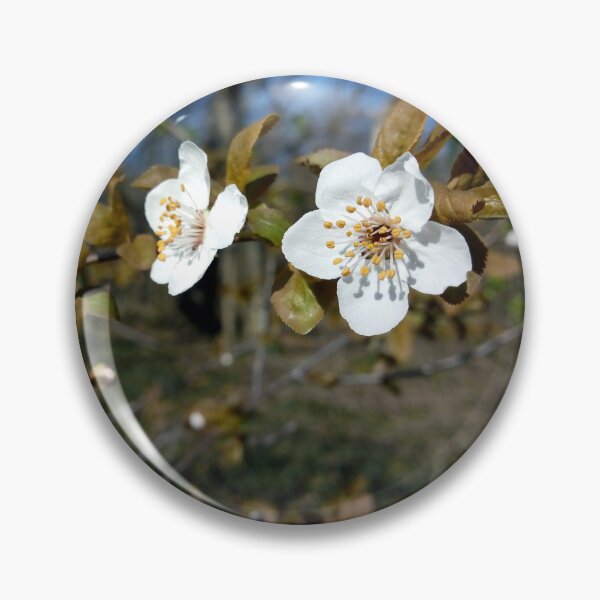 Item preview, Happy spring wild cherry flowers original artwork designed and sold by paragonDesign28.