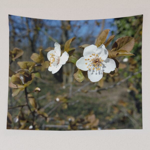 Item preview, Happy spring wild cherry flowers original artwork designed and sold by paragonDesign28.