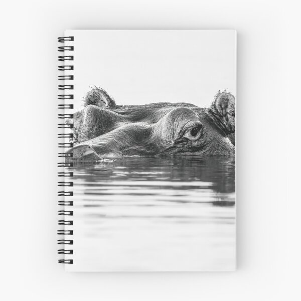 Item preview, Hippo High Key Chobe River Botswana Africa designed and sold by PhotoArt by Joan Carroll.
