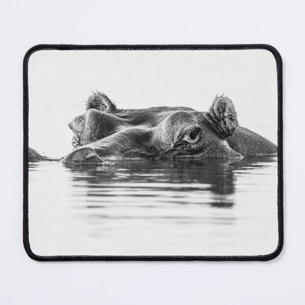 Item preview, Hippo High Key Chobe River Botswana Africa designed and sold by PhotoArt by Joan Carroll.