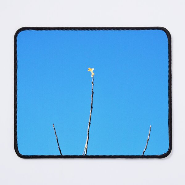 Item preview, I'm Not Ready Yet designed and sold by Scott and Mary Schneider art_photography.