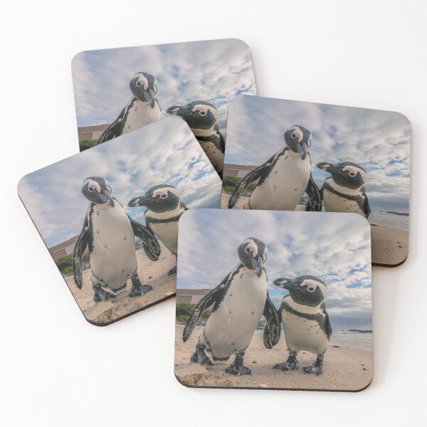 Item preview, Pinguins on Boulders Beach designed and sold by Koolmees.