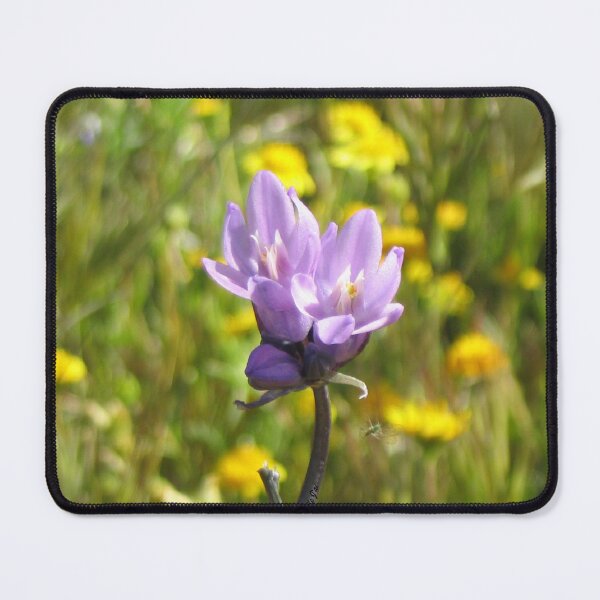 Item preview, Wildflower designed and sold by ljdizigns.