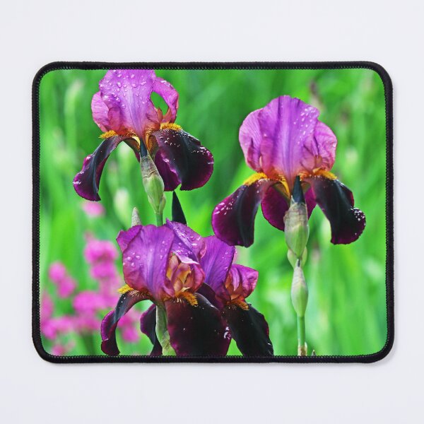 Item preview, Shades Of Purple Iris Bouquet designed and sold by Deb Oppermann.