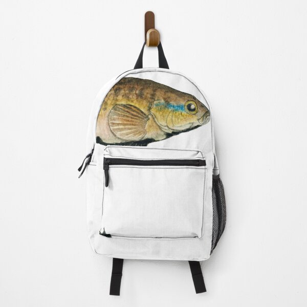 Artikelvorschau, Antiker Fisch Nannoperca Australis Tas Aal Vintage Fisch entworfen und verkauft von AmethystMurad.
