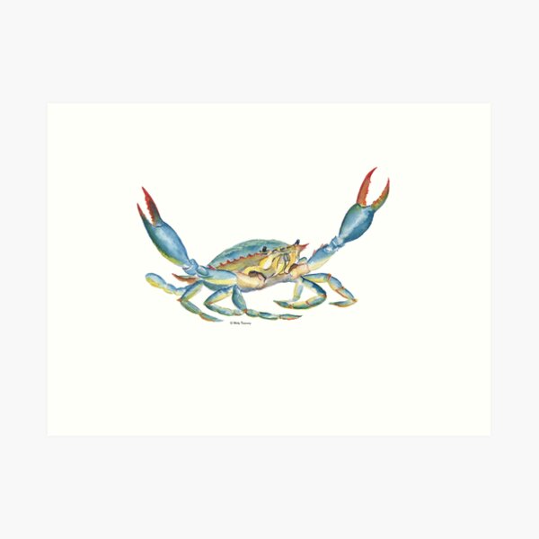 Colorful Blue Crab Art Print