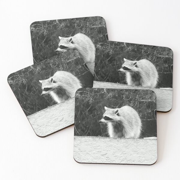 Item preview, Ronny the Raccoon  designed and sold by Princess1222.
