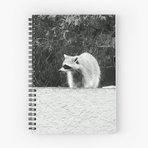 Item preview, Ronny the Raccoon  designed and sold by Princess1222.