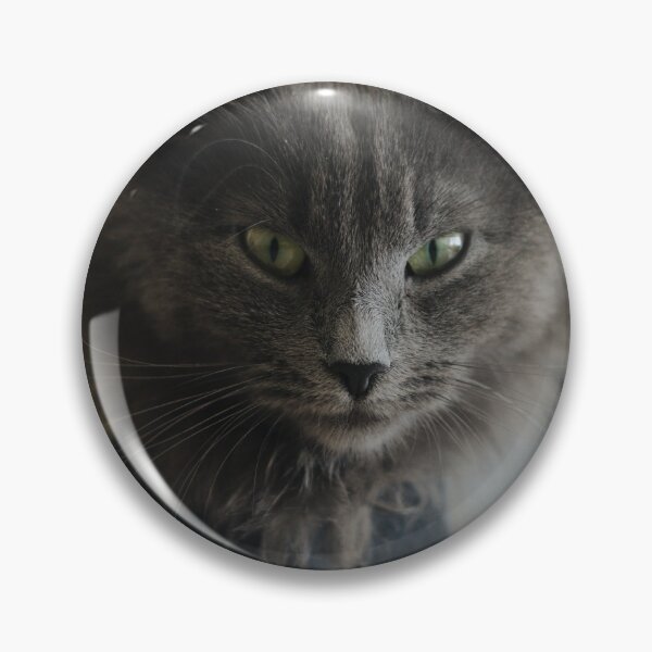 Item preview, Cute Cat Aesthetic With Ash Gray Fur Wallpaper designed and sold by jams923.